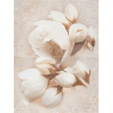 Декор Nizza Inserto flower 60x45