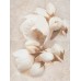 Декор Nizza Inserto flower 60x45