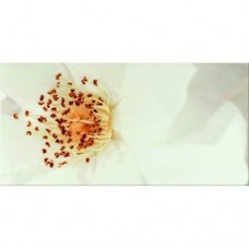 Декор Opoczno Diago INSERTO FLOWER A 29,7X60