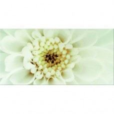 Декор Opoczno Diago INSERTO FLOWER B 29,7X60