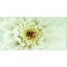 Декор Opoczno Diago INSERTO FLOWER B 29,7X60