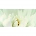 Декор Opoczno Diago INSERTO FLOWER С 29,7X60