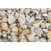 Декор Opoczno Nizza ракушки А 30x45