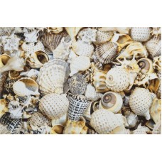 Декор Opoczno Nizza ракушки B 30x45
