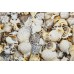 Декор Opoczno Nizza ракушки B 30x45