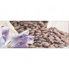Декор Opoczno Penne кофе 1 20x50