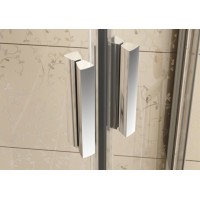 Душевые двери Ravak BLIX BLDP 2 - 110 Transparent, полированный алюминий, безопасное стекло