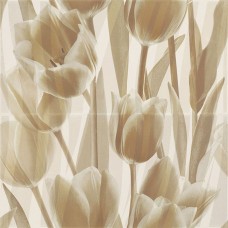 Панно Paradyz Coraline Tulipany бежевый 2x30x60 PRZ14002