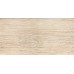 Плитка Zeus Ceramica Mood Wood gold teak 30x60 ZNXP1R