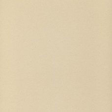 Плитка Zeus Ceramica Spectrum avorio 60x60 ZRM1