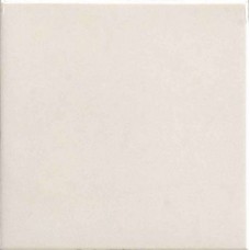 Плитка Zeus Ceramica Techno Spessorato avorio 20x20 Z3XA100